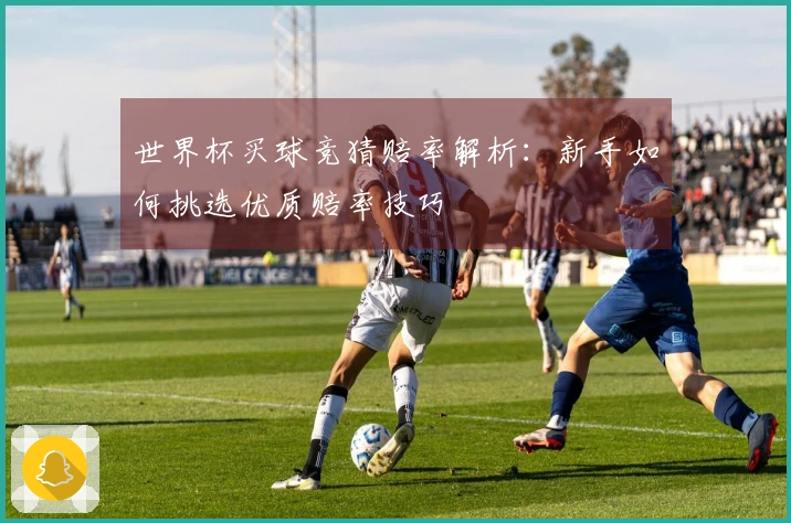 世界杯买球竞猜赔率解析：新手如何挑选优质赔率技巧