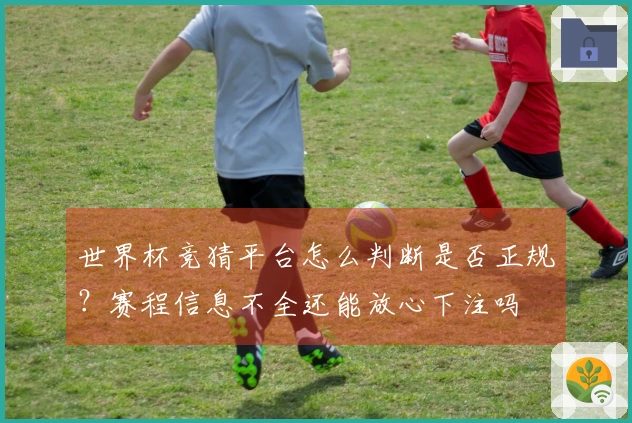 世界杯竞猜平台怎么判断是否正规？赛程信息不全还能放心下注吗