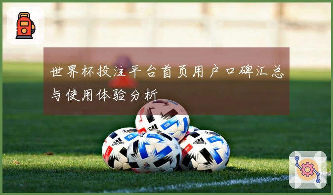世界杯投注平台首页用户口碑汇总与使用体验分析