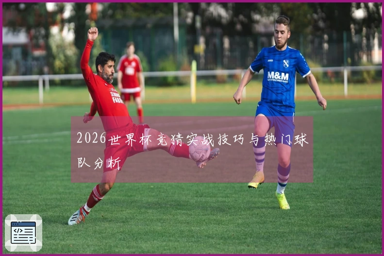 2026世界杯竞猜实战技巧与热门球队分析