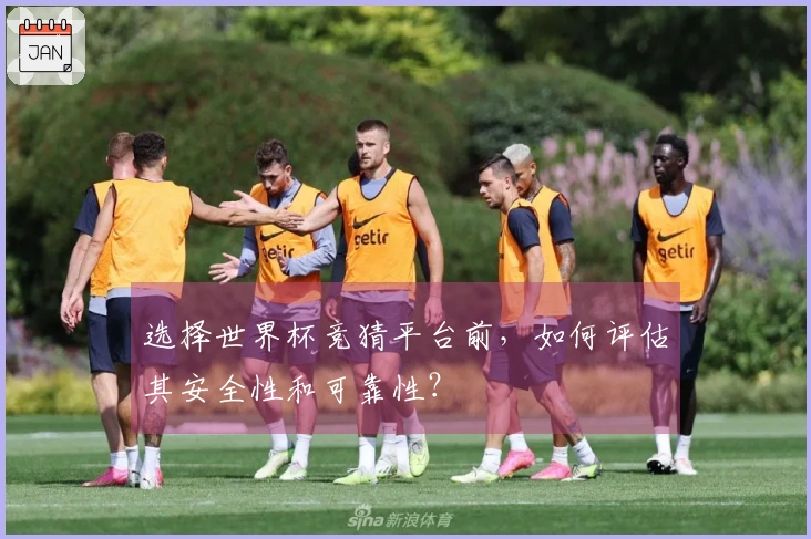 选择世界杯竞猜平台前，如何评估其安全性和可靠性？