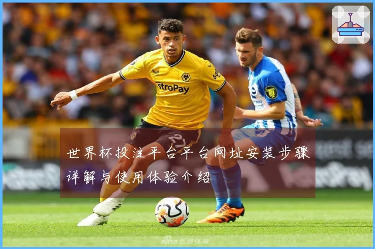 世界杯投注平台平台网址安装步骤详解与使用体验介绍