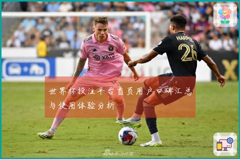世界杯投注平台首页用户口碑汇总与使用体验分析