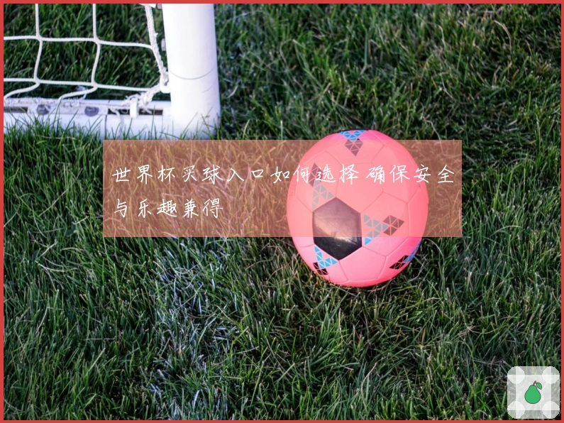 世界杯买球入口如何选择 确保安全与乐趣兼得