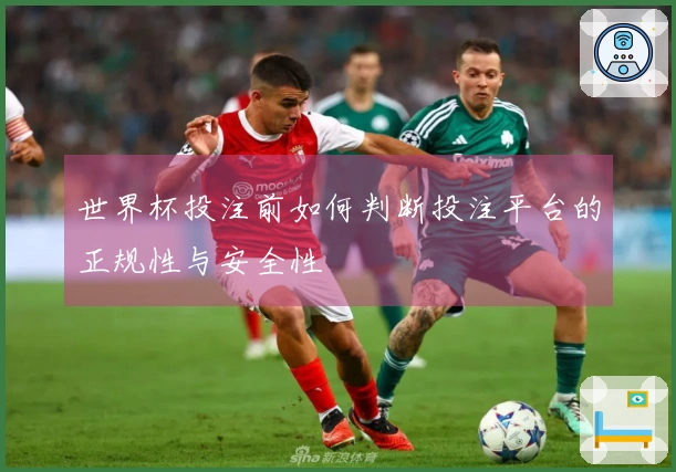 世界杯投注前如何判断投注平台的正规性与安全性