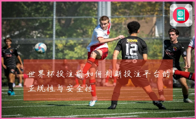 世界杯投注前如何判断投注平台的正规性与安全性