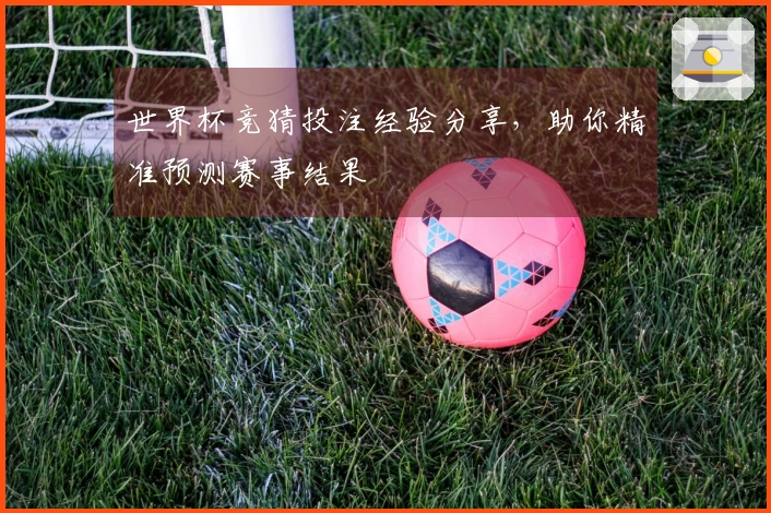 世界杯竞猜投注经验分享，助你精准预测赛事结果