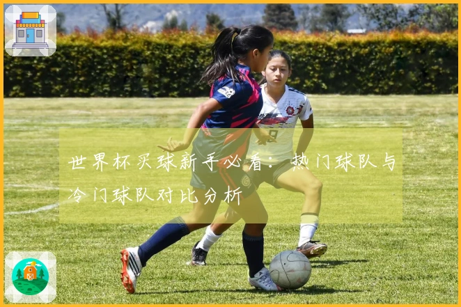 世界杯买球新手必看：热门球队与冷门球队对比分析