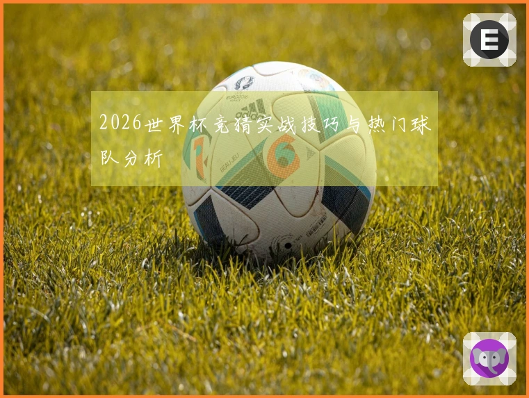 2026世界杯竞猜实战技巧与热门球队分析