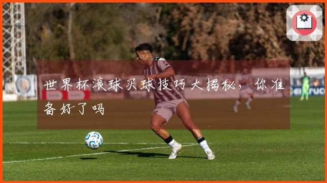 世界杯滚球买球技巧大揭秘，你准备好了吗