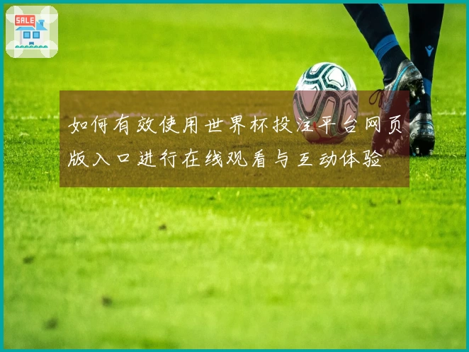 如何有效使用世界杯投注平台网页版入口进行在线观看与互动体验