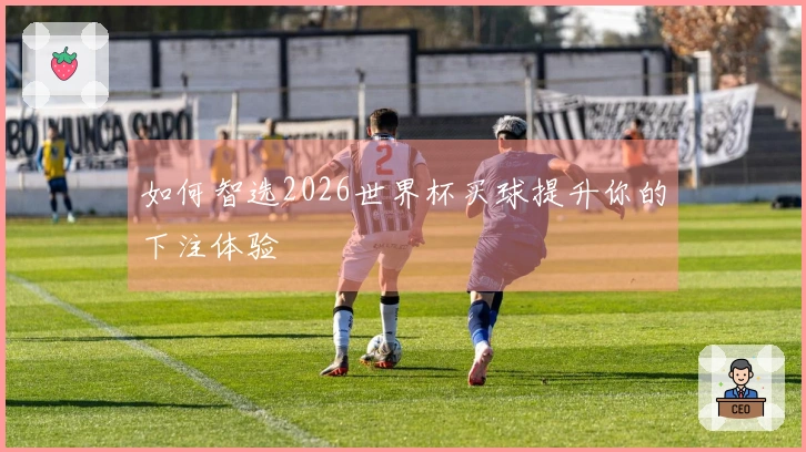 如何智选2026世界杯买球提升你的下注体验
